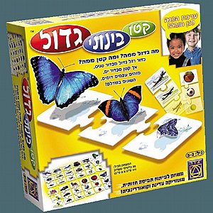 קטן בינוני גדול קטן בינוני גדול