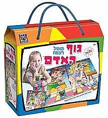 פאזל גוף האדם פאזל גוף האדם