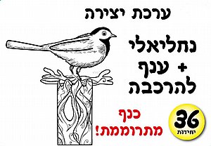ערכת יצירה נחליאלי + ענף להרכבה ערכת יצירה נחליאלי + ענף להרכבה
