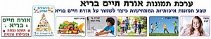 ערכת 7 תמונות אורח חיים בריא אפו ערכת 7 תמונות אורח חיים בריא אפו