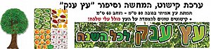 ערכת עץ ענק לכל השנה ערכת עץ ענק לכל השנה