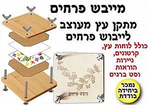 מייבש פרחים מעץ מייבש פרחים מעץ