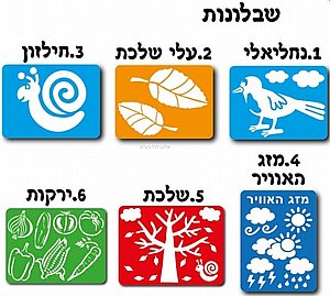 מבחר שבלונות לסתיו במגוון דוגמאות מבחר שבלונות לסתיו במגוון דוגמאות