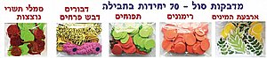 מבחר מדבקות סול חגי תשרי 70 יחידות במארז מבחר מדבקות סול חגי תשרי 70 יחידות במארז