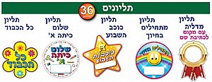 מבחר תליונים לבחירה מבחר תליונים לבחירה