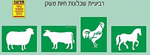 סט 4 שבלונות חיות משק סט 4 שבלונות חיות משק