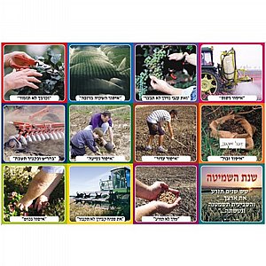 ערכת שנת שמיטה ערכת שנת שמיטה