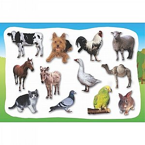 גזירות קרטון חיות בית גזירות קרטון חיות בית