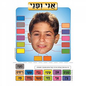 פלקט אני ופני בינוני פלקט אני ופני בינוני