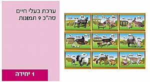 ערכת תמונות בעלי חיים 9 תמונות ערכת תמונות בעלי חיים 9 תמונות