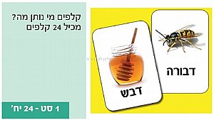 קלפים מי נותן מה ממפל 24 קלפים קלפים מי נותן מה ממפל 24 קלפים