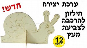ערכת יצירה חילזון מעץ להרכבה וצביעה 12 יחידות. ערכת יצירה חילזון מעץ להרכבה וצביעה 12 יחידות.