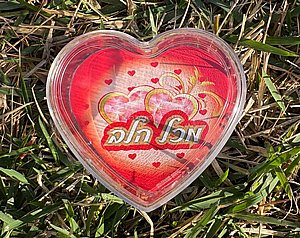 קופסא לב פלסטיק נפתחת