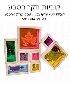 סט 8 קוביות עץ פרספקס חקר הטבע כולל מראה סט 8 קוביות עץ פרספקס חקר הטבע כולל מראה
