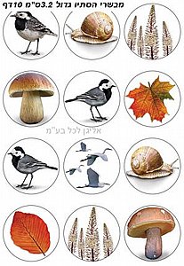 מדבקות סתיו מדבקות סתיו